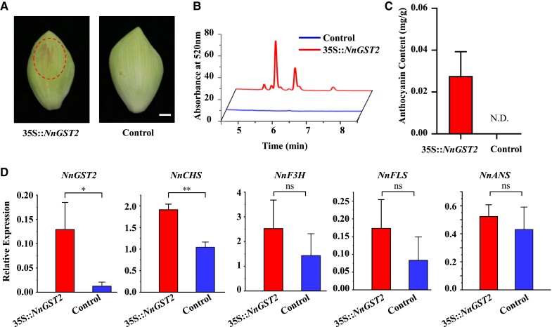 Figure 6.