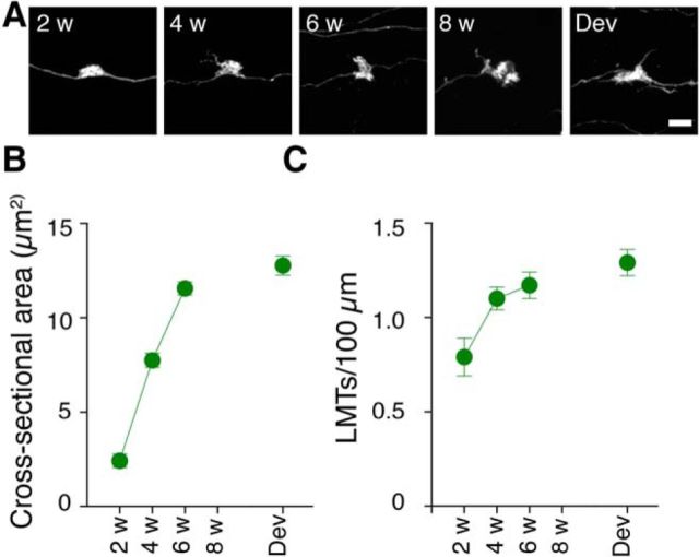 Figure 3.