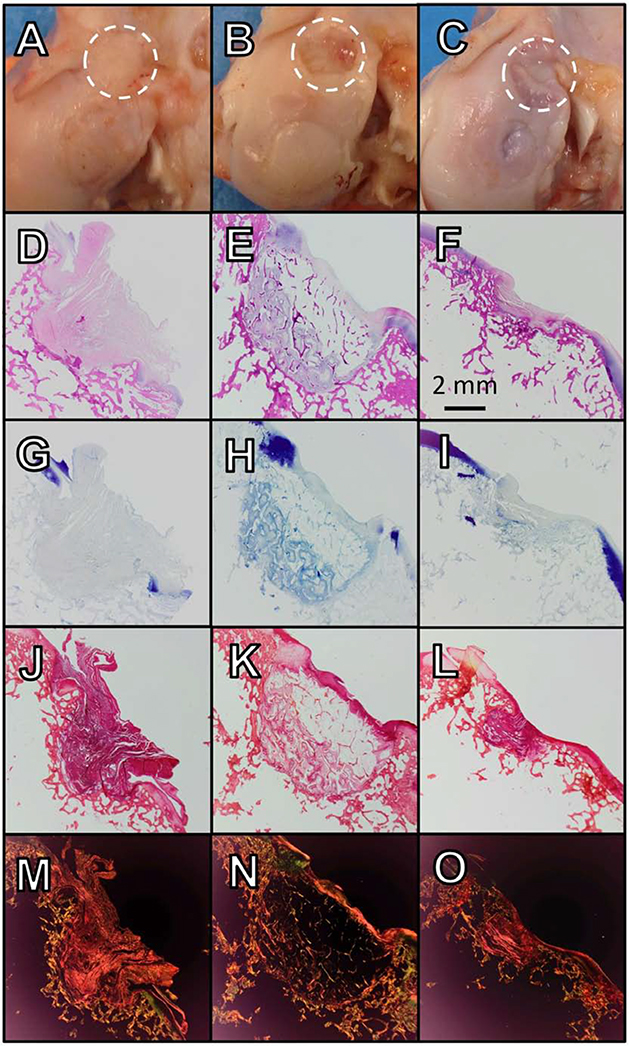 Figure 9.