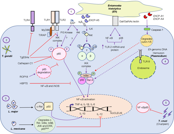 Figure 2