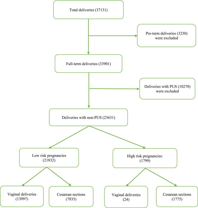 Figure 1