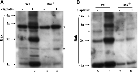 Fig. 8.