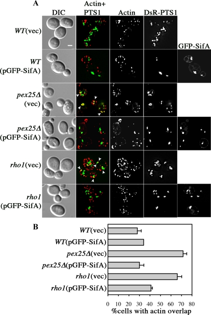 Figure 6.