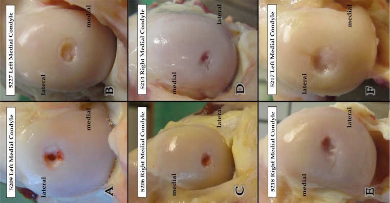 Fig. (2)