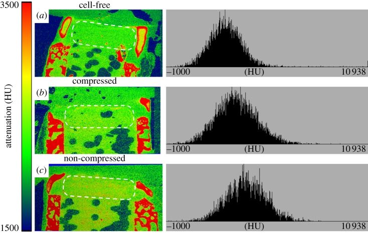 Figure 3.