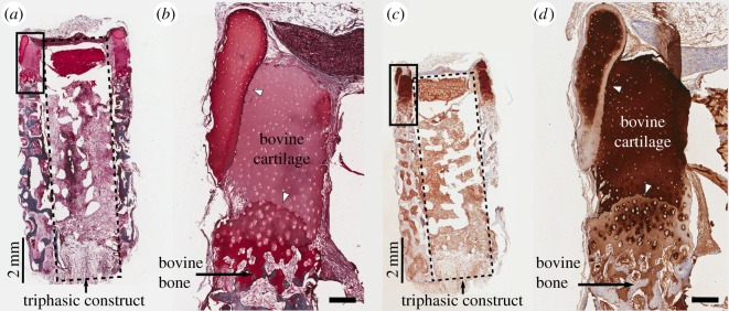 Figure 5.