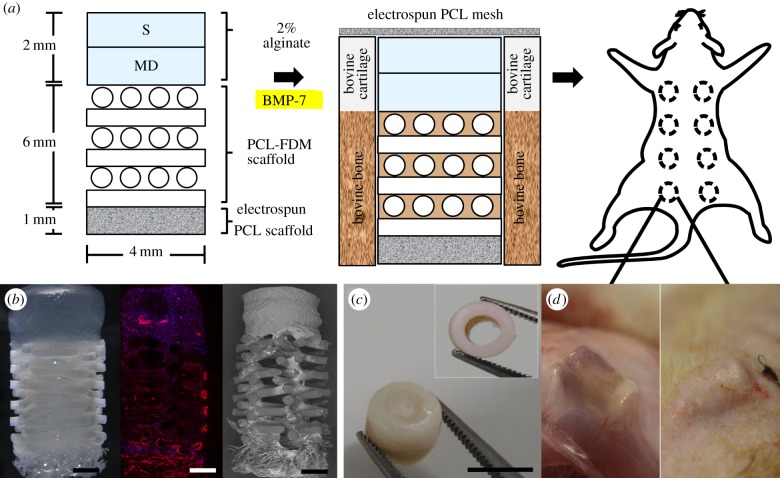 Figure 1.