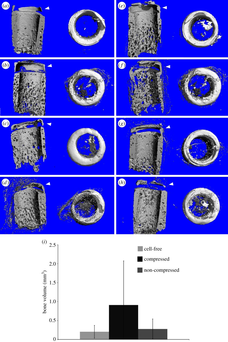 Figure 4.