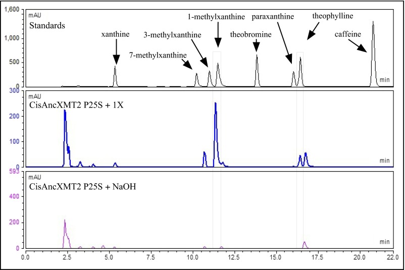 Fig. S10.