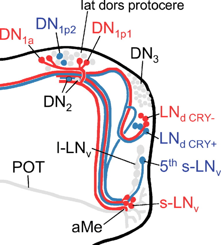 Figure 7.