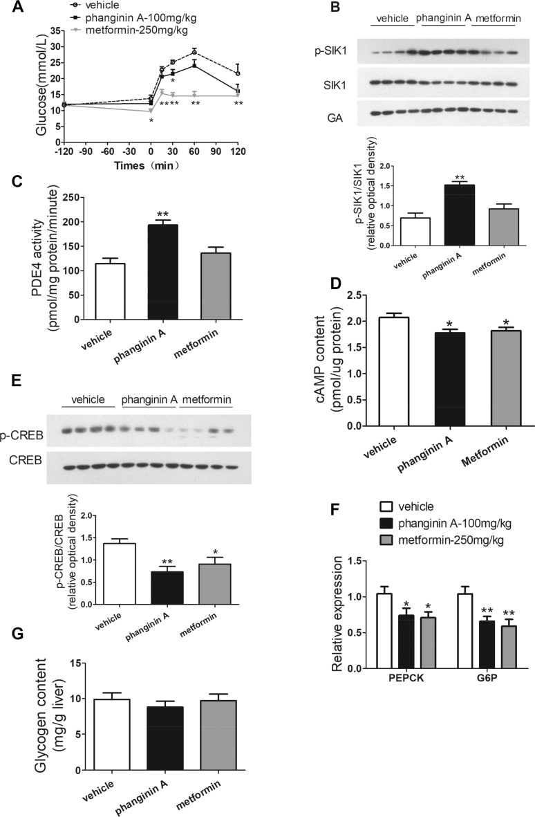 Figure 7