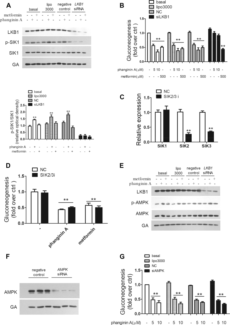 Figure 5