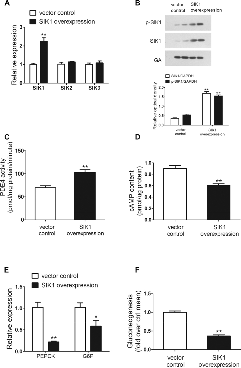 Figure 6