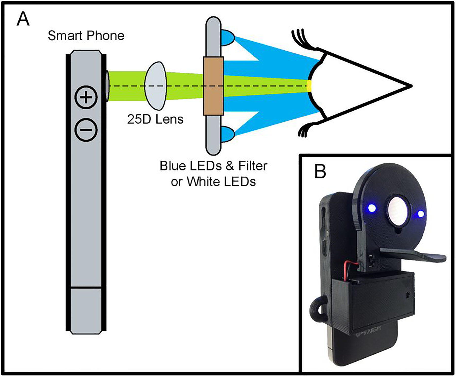 Figure 1: