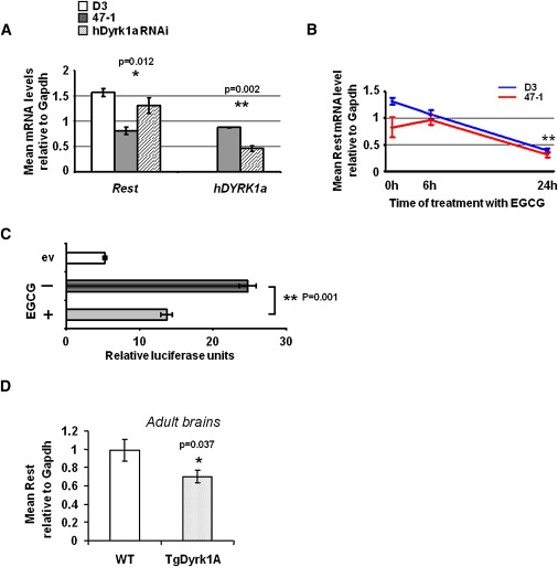 Figure 3