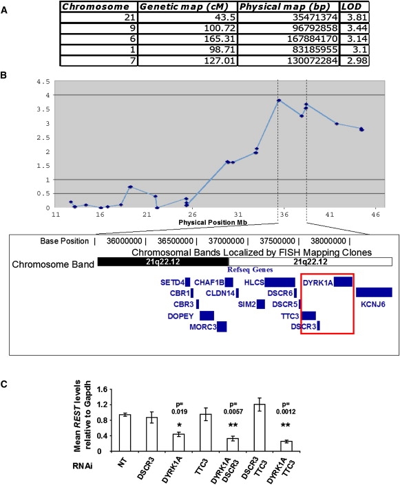 Figure 2