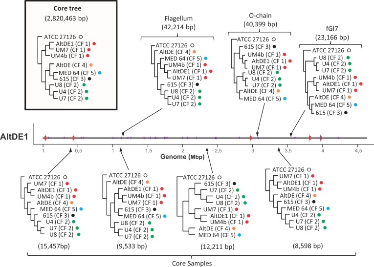 Fig. 2.—