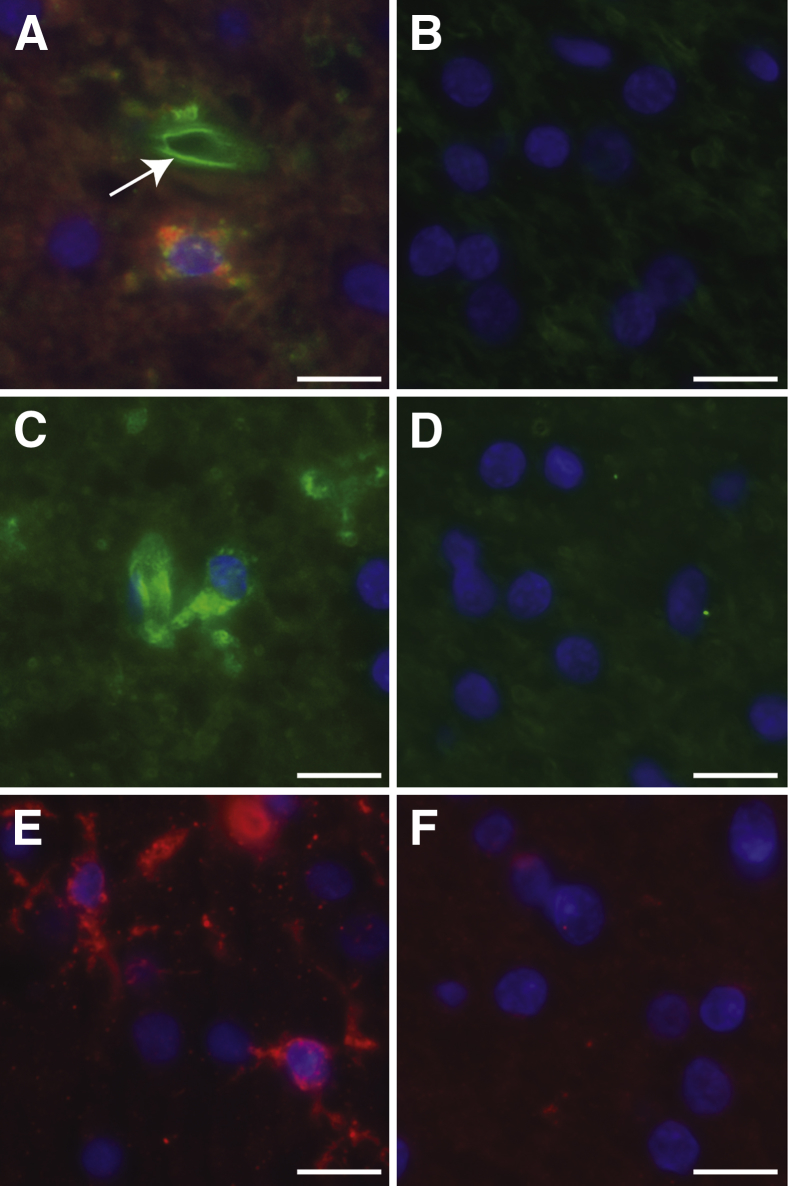 Figure 6