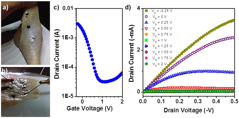 Figure 4