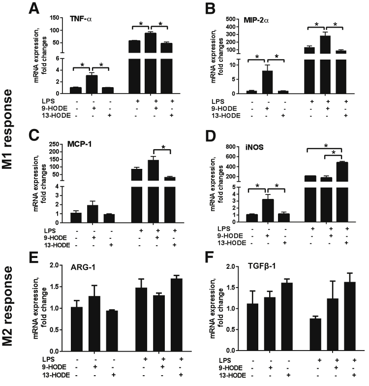 Figure 4