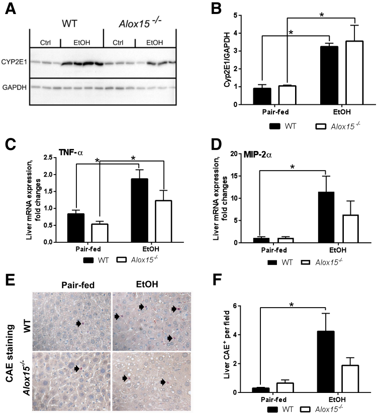 Figure 6