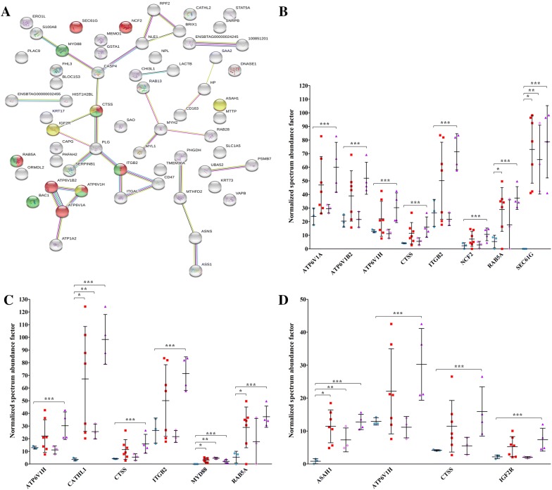 Figure 2