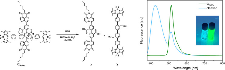 Fig. 7