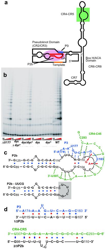 Fig 1.