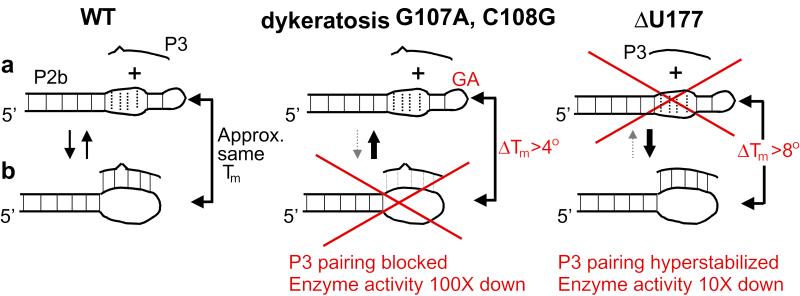 Fig 7.