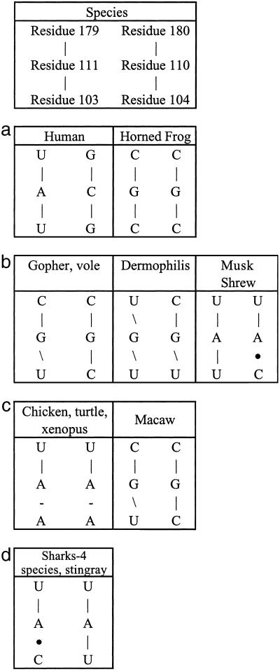 Fig 6.