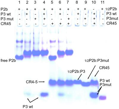 Fig 2.