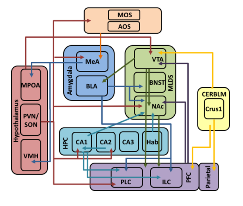 Figure 2.