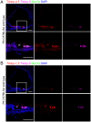 Fig. 2.