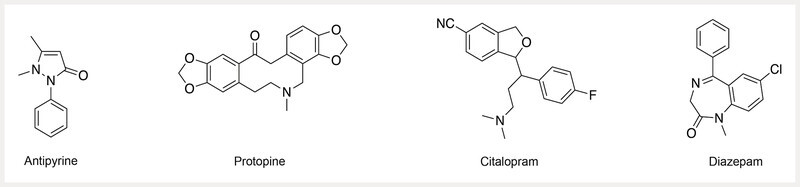 Fig. 1