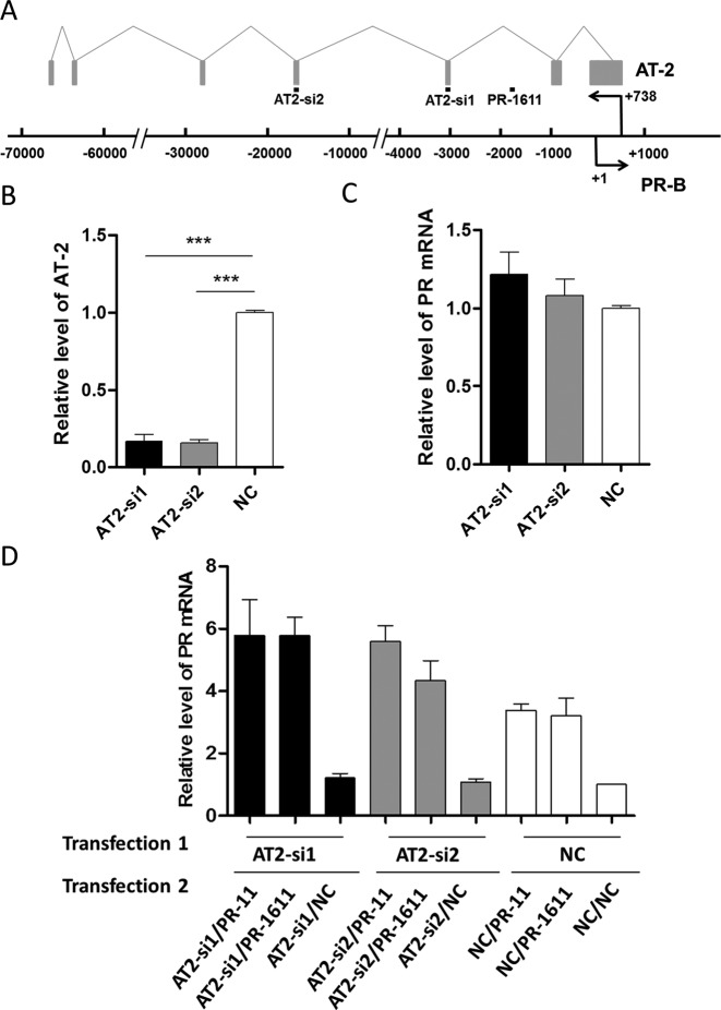 Figure 6.