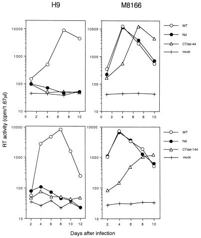 FIG. 1