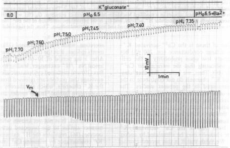 graphic file with name pnas00300-0526-b.jpg