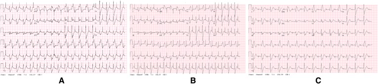 Fig. 9