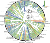 Fig. 3.