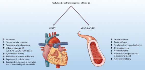 Figure 2: