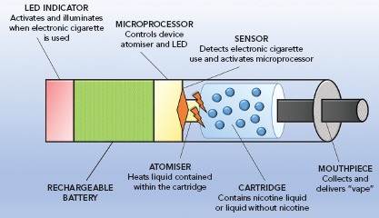 Figure 1: