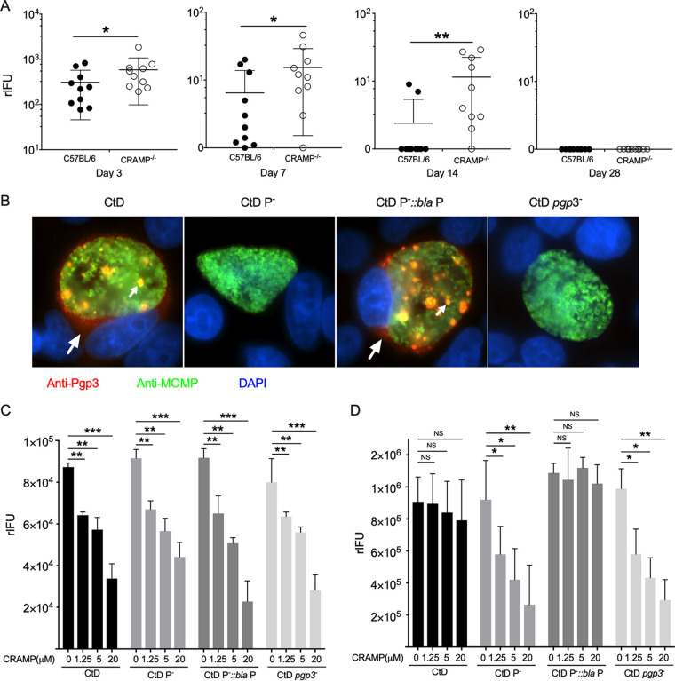 FIG 3