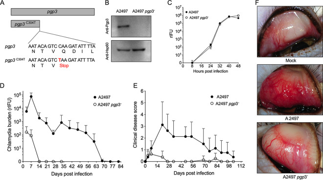 FIG 4