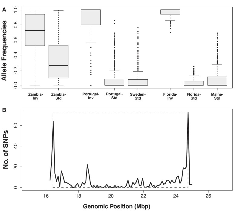 Fig. 6.