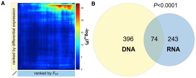 Fig. 9.