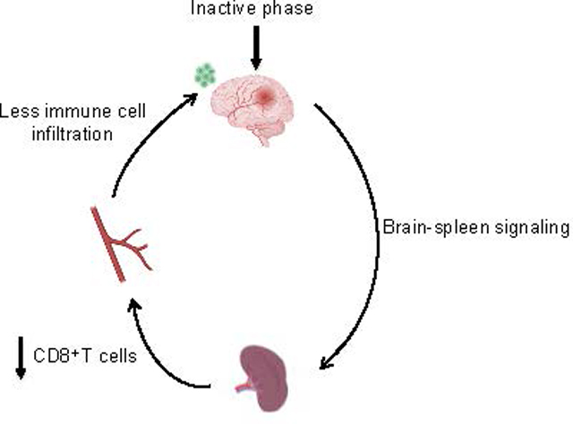 graphic file with name nihms-1841482-f0004.jpg