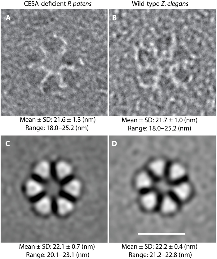 Fig. 4.