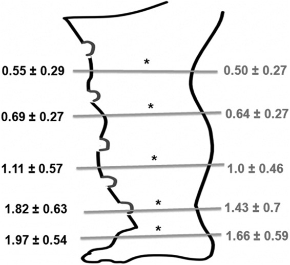 FIG. 2.