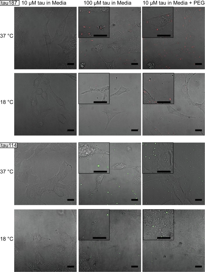 Figure 7.