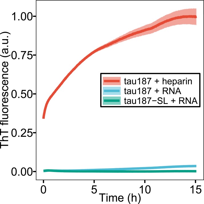 Figure 1—figure supplement 1.